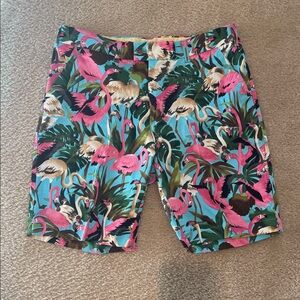 Tropical Flamingo Print Men's Shorts